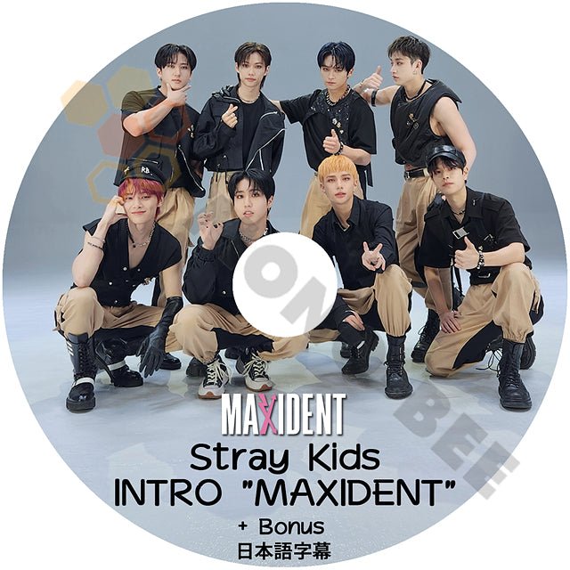 K-POP DVD STRAY KIDS INTRO MAXIDENT + BONUS 日本語字幕あり Stray 